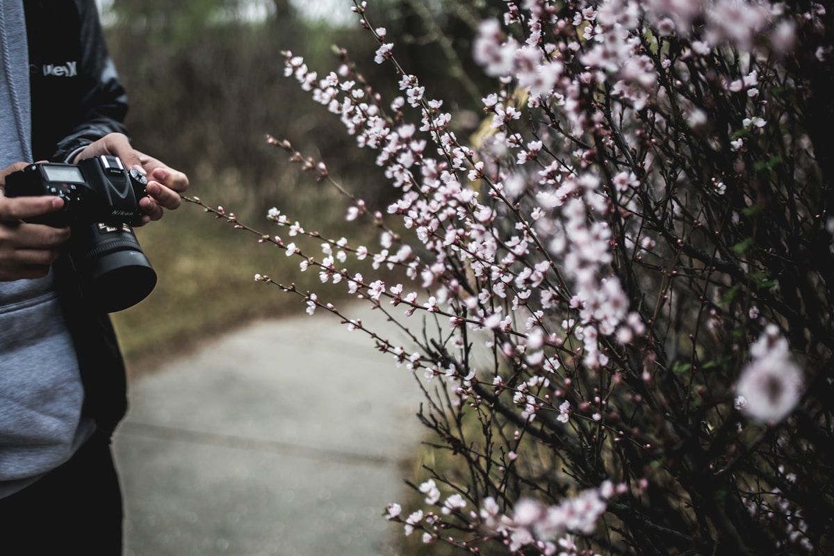 Capturing Moments: Travel Photography Tips